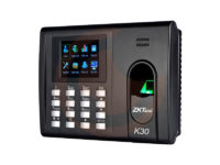 ZKSoftware K30